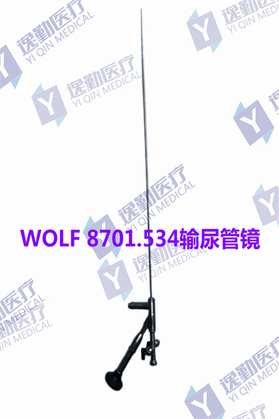 WOLF 8701.534输尿镜_副本.jpg